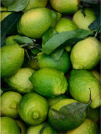 Close-up of green lemons with leaves on a dark background