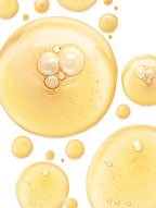 Ginkgo Antioxidant Gel Booster