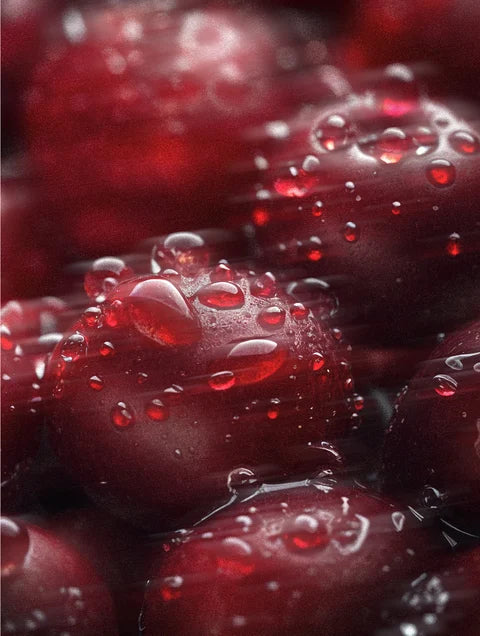 Close-up of red berries with water droplets on a dark background